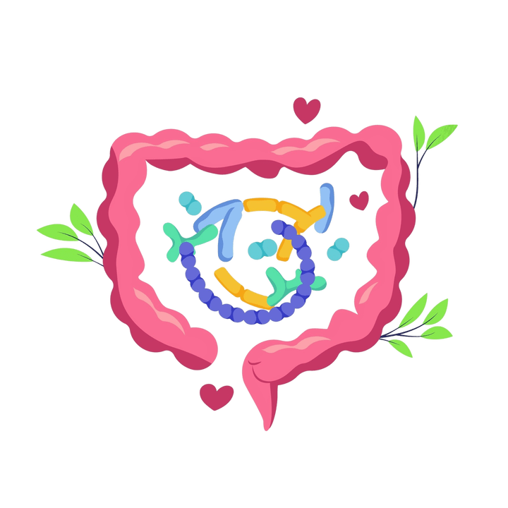 Une digestion saine et sans parasites