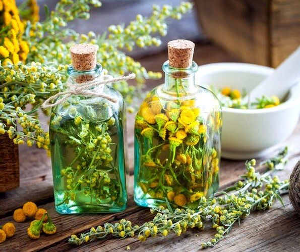 Teinture de tanaisie pour éliminer les vers