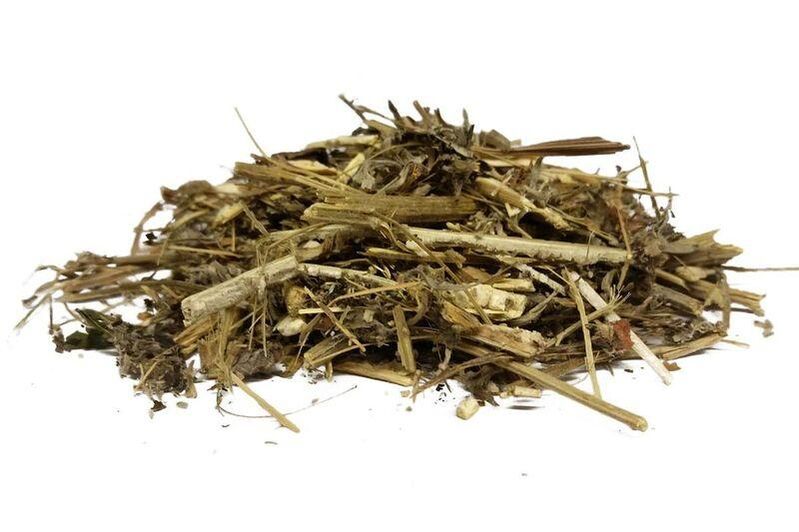Une décoction d'absinthe sèche doit être utilisée comme liquide de lavement contre les parasites